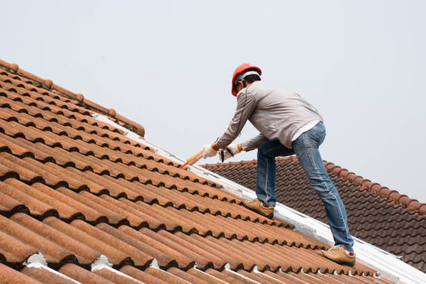 Best Roof Leak Repair  in Florissant, MO